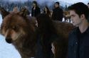 'Crepúsculo' no tendrá su propio parque temático
