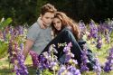 'La Saga Crepúsculo: Amanecer Parte 2' se estrena hoy en los cines de todo el mundo